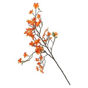 MALUS