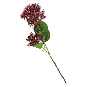 EUPATORIUM
