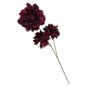 DALIA