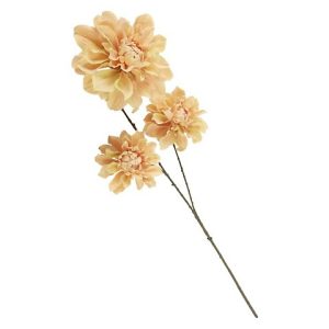 DALIA