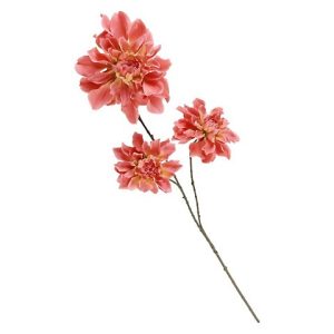 DALIA