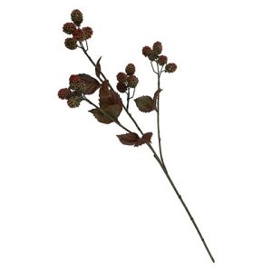 MORA