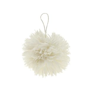 ALLIUM