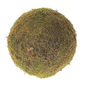 SFERA DI MUSCHIO