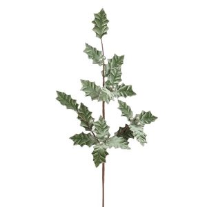 ILEX