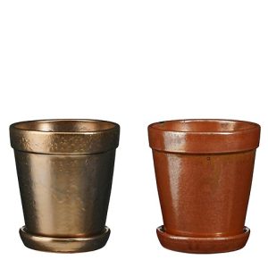 VASO