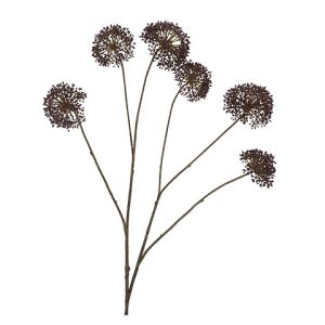 ALLIUM