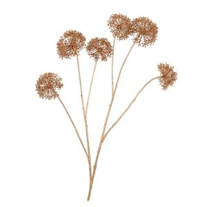 ALLIUM
