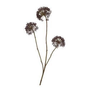 ALLIUM