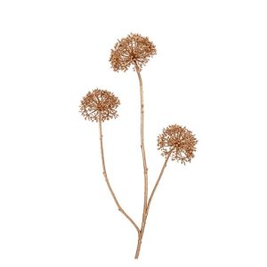 ALLIUM