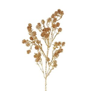 TRIFOLIUM