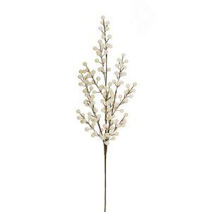 ILEX